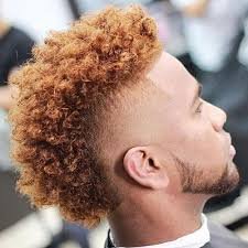 Curly Black Mens Hairstyles